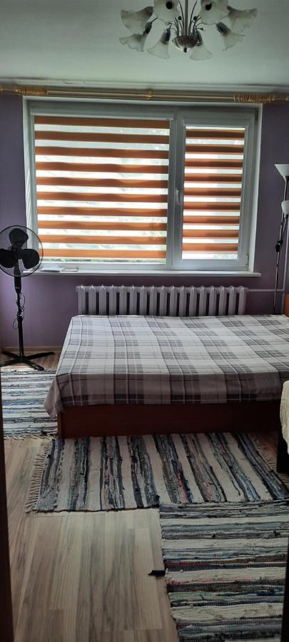 Appartamento Day & Night Anykščiai Esterno foto