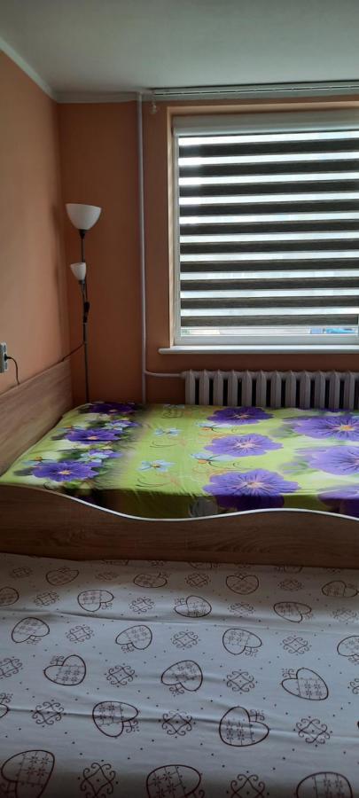 Appartamento Day & Night Anykščiai Esterno foto