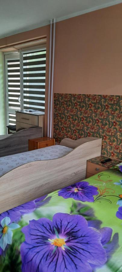 Appartamento Day & Night Anykščiai Esterno foto